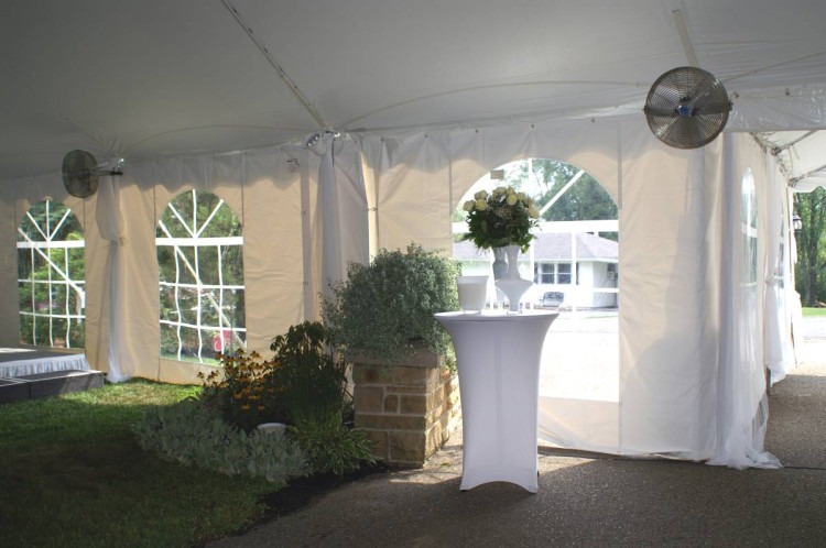 Tent Fan 18